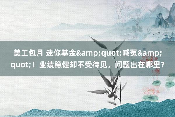 美工包月 迷你基金&quot;喊冤&quot;！业绩稳健却不受待见，问题出在哪里？