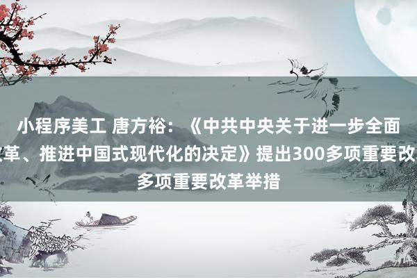 小程序美工 唐方裕：《中共中央关于进一步全面深化改革、推进中国式现代化的决定》提出300多项重要改革举措