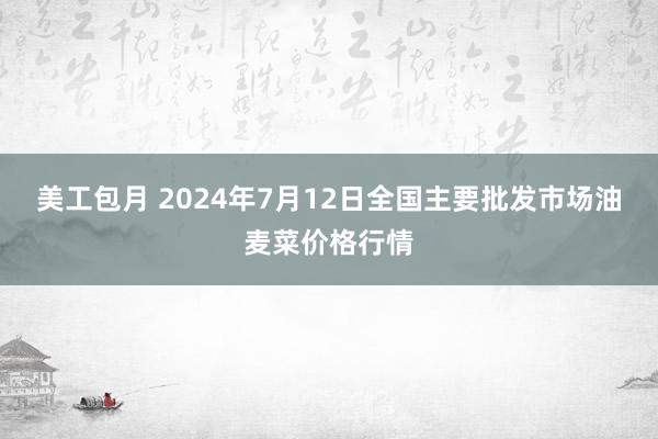 美工包月 2024年7月12日全国主要批发市场油麦菜价格行情