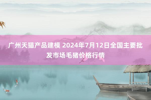 广州天猫产品建模 2024年7月12日全国主要批发市场毛猪价格行情