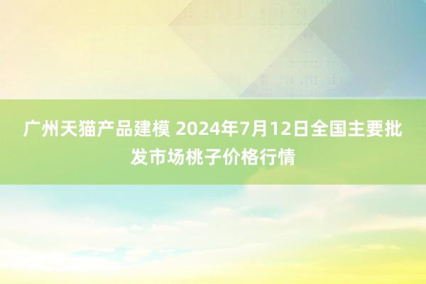 广州天猫产品建模 2024年7月12日全国主要批发市场桃子价格行情