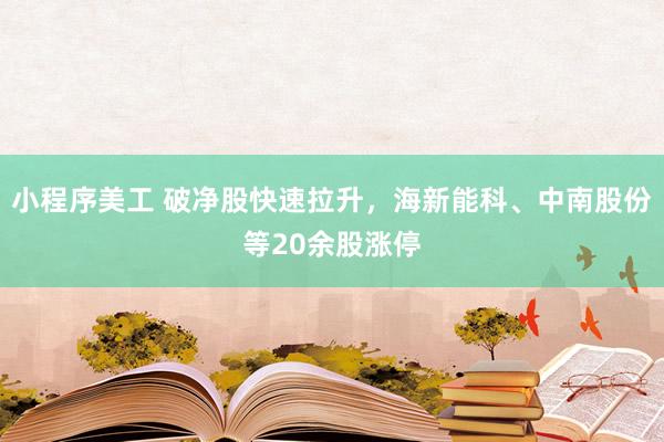 小程序美工 破净股快速拉升，海新能科、中南股份等20余股涨停