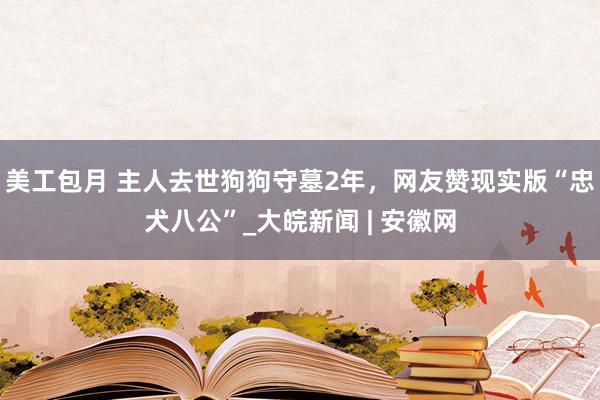 美工包月 主人去世狗狗守墓2年，网友赞现实版“忠犬八公”_大皖新闻 | 安徽网