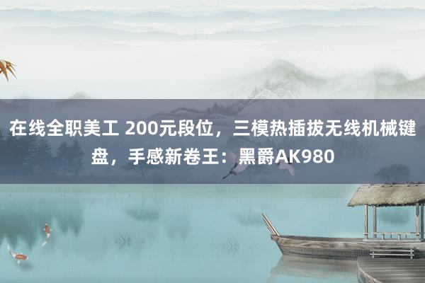 在线全职美工 200元段位，三模热插拔无线机械键盘，手感新卷王：黑爵AK980